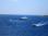 Porquerolles_2009_16